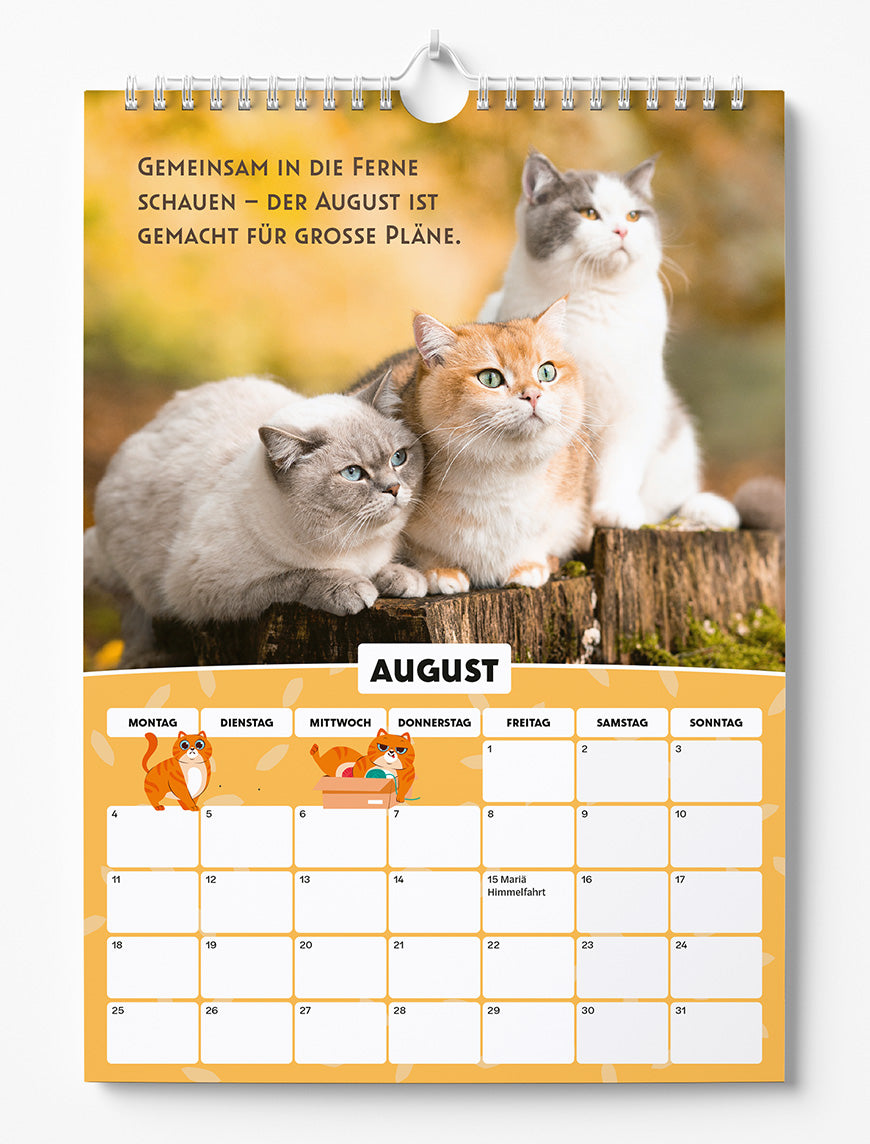 Sinas Color Cats - Ein Jahr voller Pfoten, Flausch und Funkeln