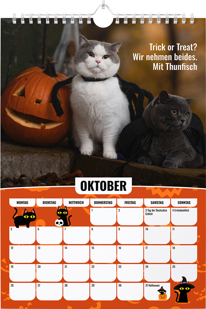 Sinas Color Cats - Ein Jahr voller Farben, Freude und Fantasie: Katzen-Kalender 2026 - Wandkalender A3 mit Spiralbindung - Süße Katzen Bilder und motivierende Sprüche für das ganze Jahr