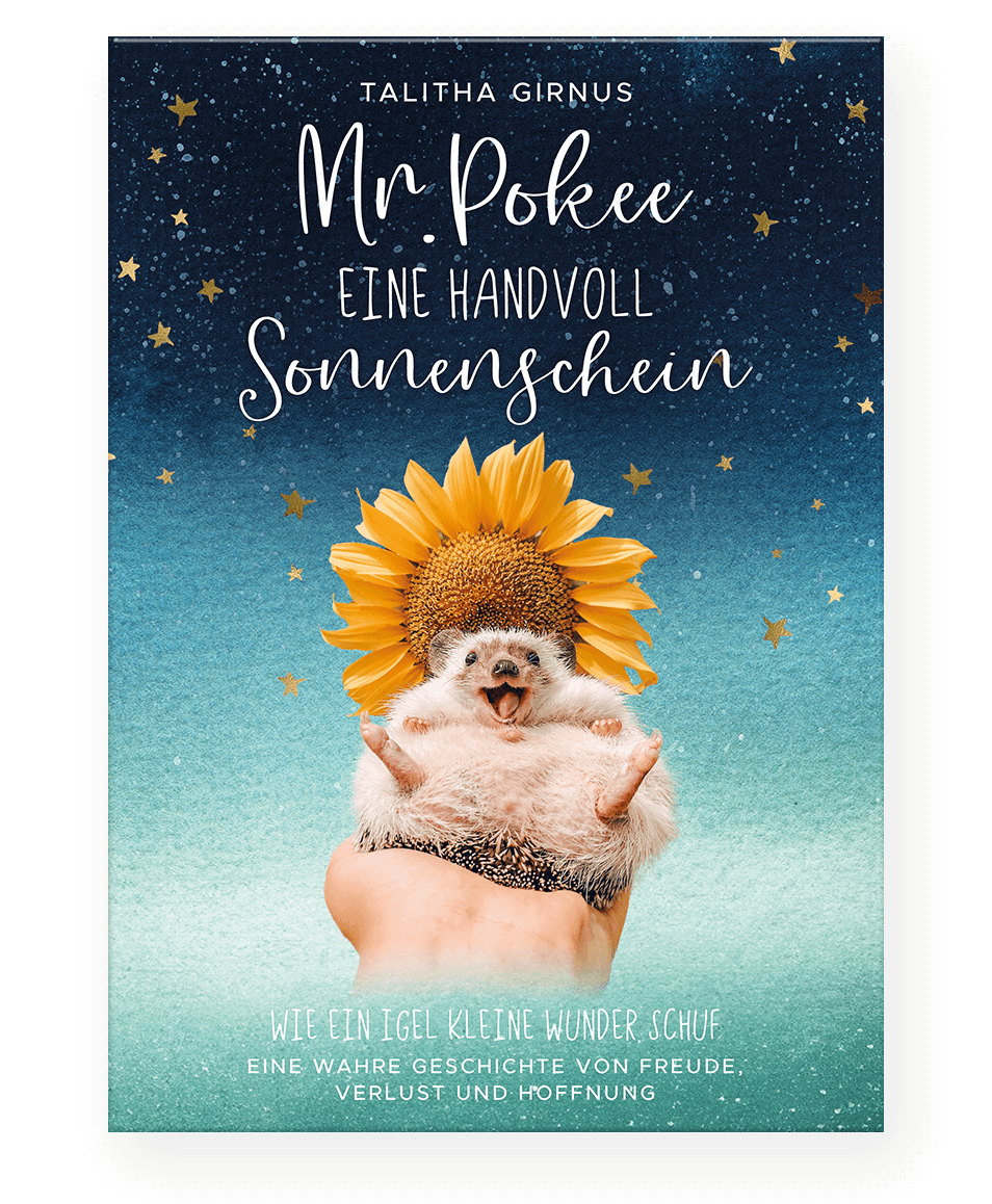 Mr.Pokee