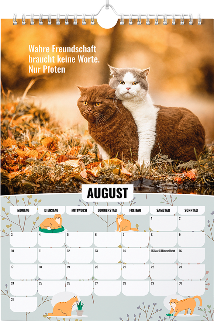Sinas Color Cats - Ein Jahr voller Farben, Freude und Fantasie: Katzen-Kalender 2026 - Wandkalender A3 mit Spiralbindung - Süße Katzen Bilder und motivierende Sprüche für das ganze Jahr