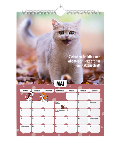 Sinas Color Cats - Ein Jahr voller Farben, Freude und Fantasie