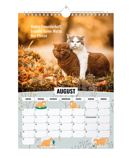 Sinas Color Cats - Ein Jahr voller Farben, Freude und Fantasie