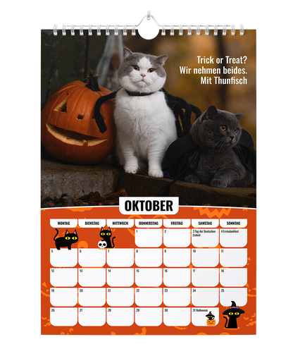 Sinas Color Cats - Ein Jahr voller Farben, Freude und Fantasie