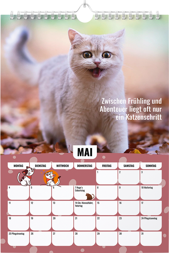 Sinas Color Cats - Ein Jahr voller Farben, Freude und Fantasie: Katzen-Kalender 2026 - Wandkalender A3 mit Spiralbindung - Süße Katzen Bilder und motivierende Sprüche für das ganze Jahr