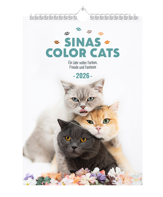 Sinas Color Cats - Ein Jahr voller Farben, Freude und Fantasie