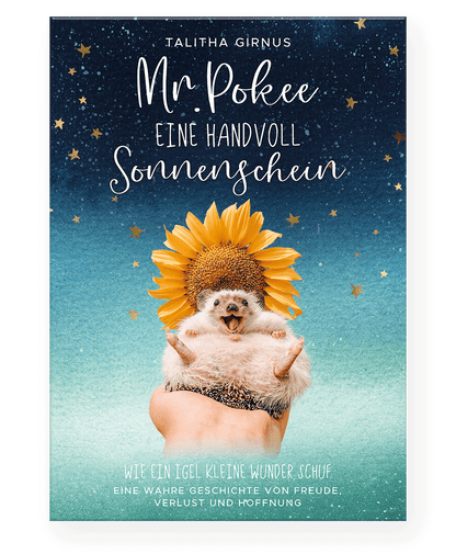 Mr.Pokee