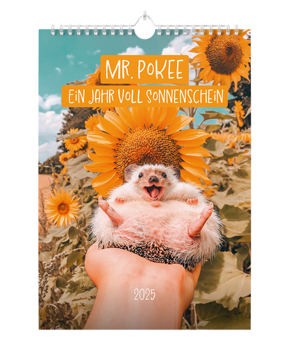 Mr.Pokee - Ein Jahr voll Sonnenschein