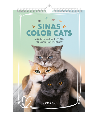 Sinas Color Cats - Ein Jahr voller Pfoten, Flausch und Funkeln